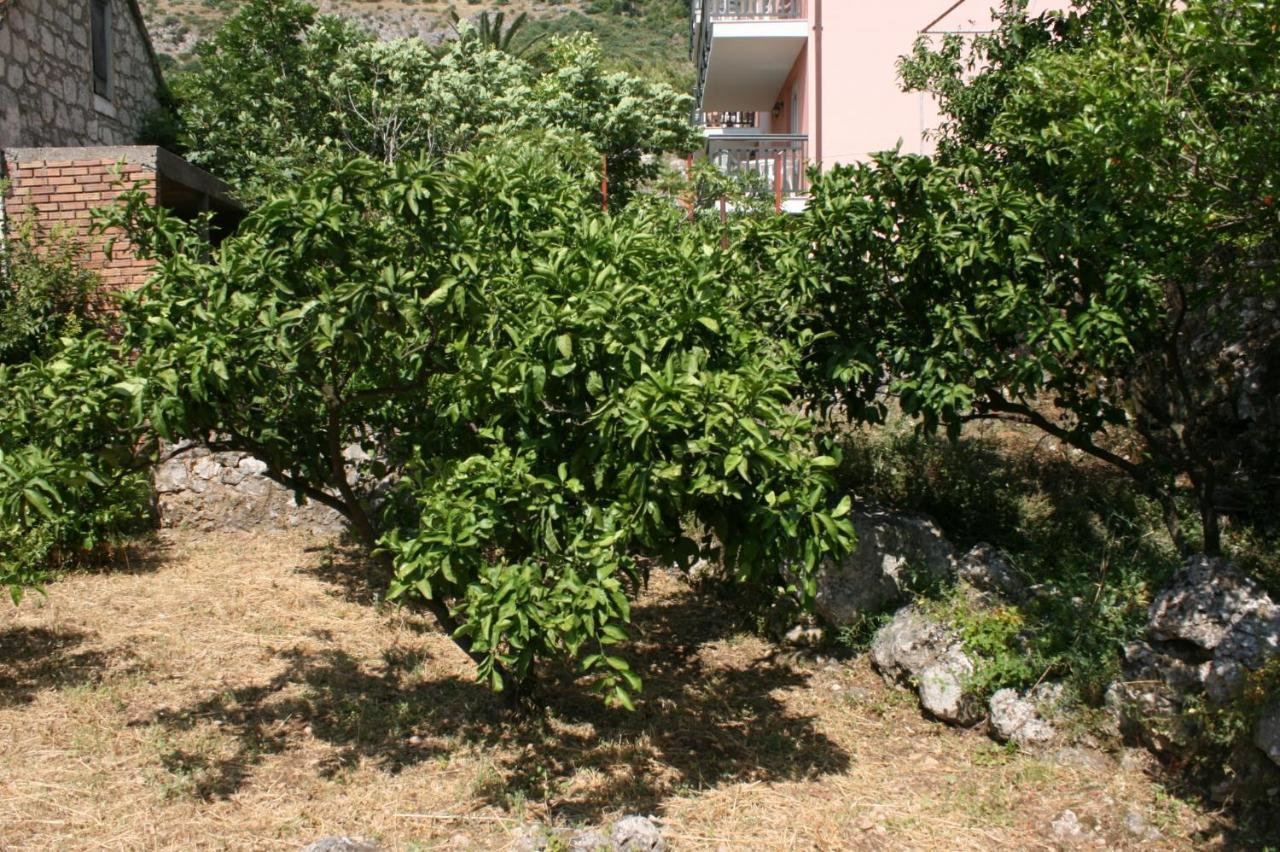 Apartments By The Sea Podaca, Makarska - 6874 Kültér fotó